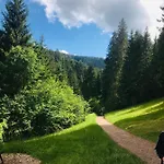 Haus Jenni Im Schwarzwald, 3,5-zimmer, Grosse Terrasse Apartamento