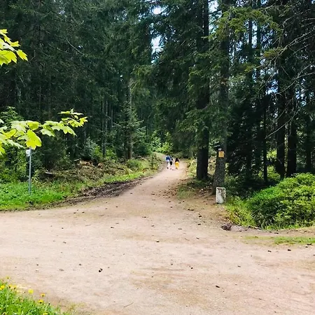 Haus Jenni Im Schwarzwald, 3,5-zimmer, Grosse Terrasse Freudenstadt