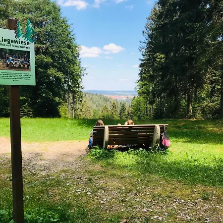 Haus Jenni Im Schwarzwald, 3,5-zimmer, Grosse Terrasse * Freudenstadt