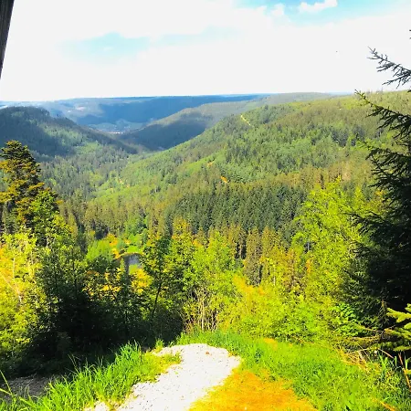 Haus Jenni Im Schwarzwald, 3,5-zimmer, Grosse Terrasse *