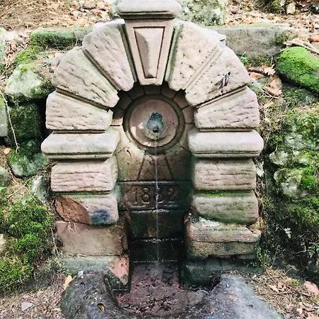 Haus Jenni Im Schwarzwald, 3,5-zimmer, Grosse Terrasse Apartamento *