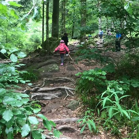 Haus Jenni Im Schwarzwald, 3,5-zimmer, Grosse Terrasse