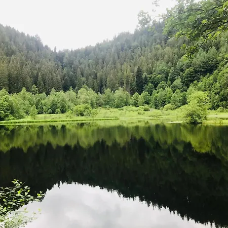 Haus Jenni Im Schwarzwald, 3,5-zimmer, Grosse Terrasse Apartamento