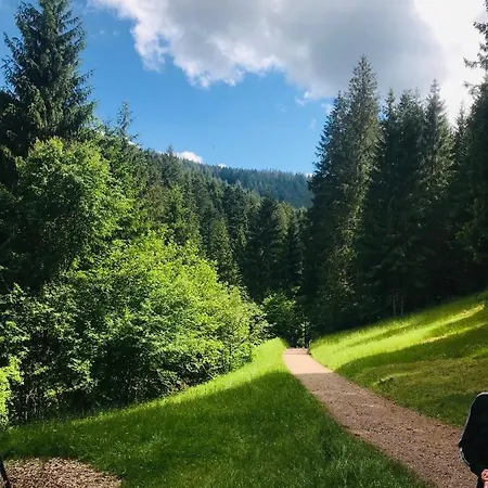 Haus Jenni Im Schwarzwald, 3,5-zimmer, Grosse Terrasse Apartamento