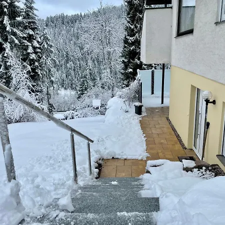 Haus Jenni Im Schwarzwald, 3,5-zimmer, Grosse Terrasse * Freudenstadt