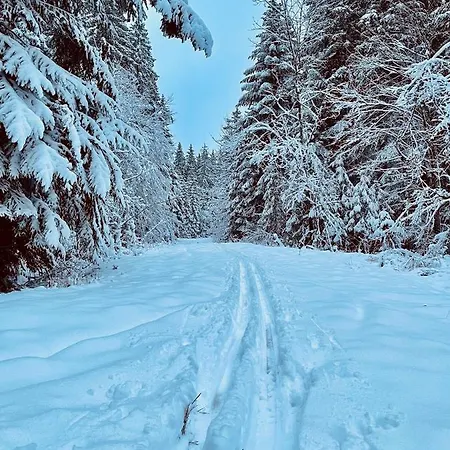 Apartamento Haus Jenni Im Schwarzwald, 3,5-zimmer, Grosse Terrasse