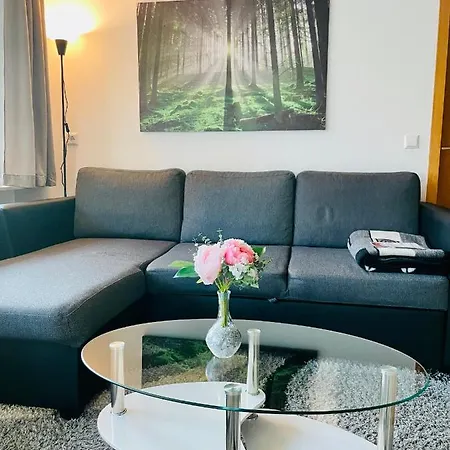 Haus Jenni Im Schwarzwald, 3,5-zimmer, Grosse Terrasse *