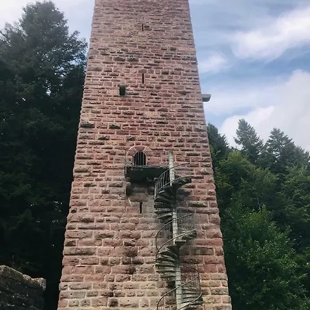 公寓 Haus Jenni Im Schwarzwald, 3,5-zimmer, Grosse Terrasse *