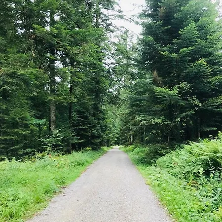 Haus Jenni Im Schwarzwald, 3,5-zimmer, Grosse Terrasse