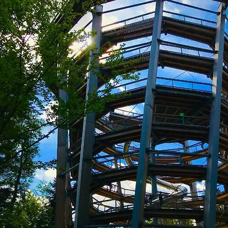 Apartamento Haus Jenni Im Schwarzwald, 3,5-zimmer, Grosse Terrasse