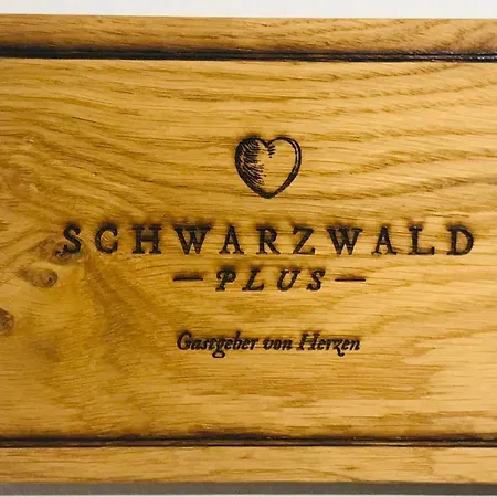 Apartamento Haus Jenni Im Schwarzwald, 3,5-zimmer, Grosse Terrasse